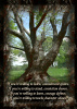 11x14 Print - Teacher Tree